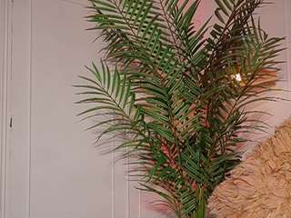 Live webcam model alana-haze on Soda Cams