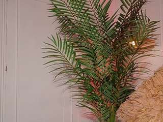 Live webcam model alana-haze on Soda Cams