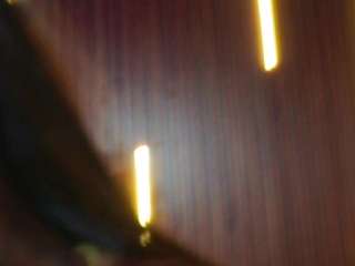 Soyalanaa