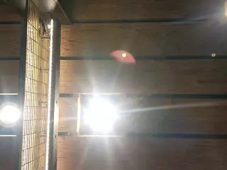 Ivy-West's Live Sex Cam Show