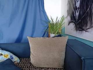 cornflower