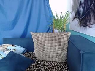 cornflower