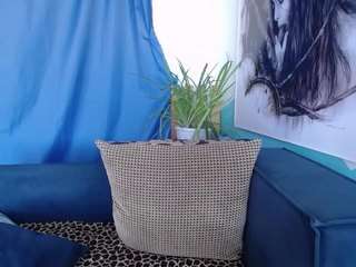 cornflower