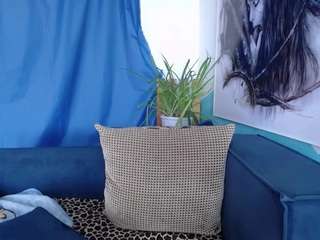 cornflower