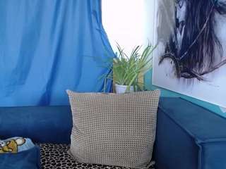 cornflower