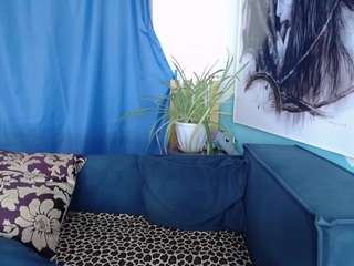 cornflower