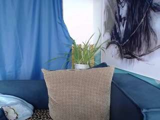 cornflower