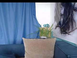 cornflower