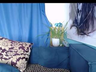 cornflower