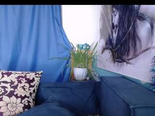 Cornflower