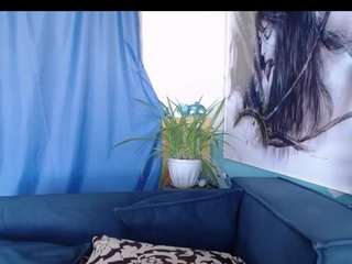 Cornflower