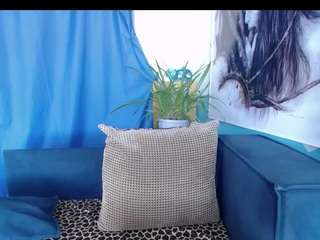 cornflower