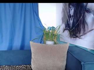 Cornflower