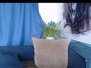 Cornflower