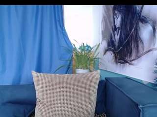 Cornflower