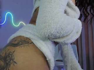 ehily-ts webcam