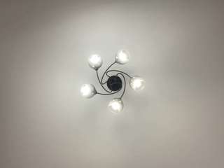 Ember-bunny live webcam on Soda Cams