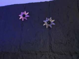 melisa-bost1 webcam