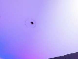 melisa-bost1 Live Webcam on CamSoda