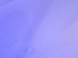 melisa-bost1