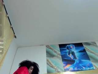 brianarichardson webcam model