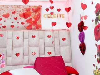 celeste-lincon webcam