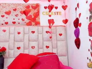 celeste-lincon webcam