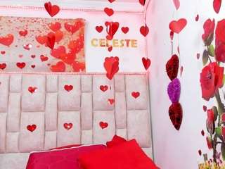 celeste-lincon webcam