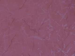 cataliinaevains's CamSoda show and profile