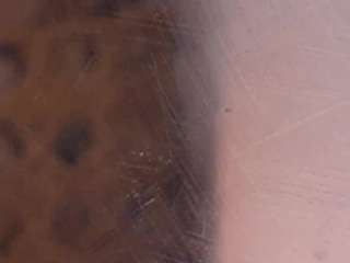 cataliinaevains webcam