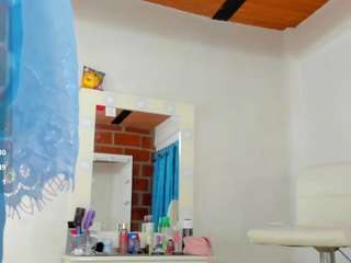 emilhornett webcam