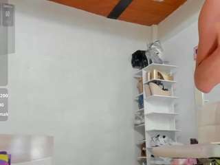 emilhornett webcam