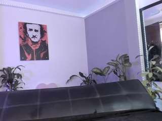 fermercury webcam