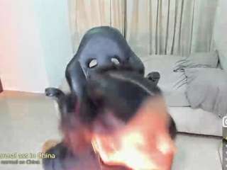 India live cam