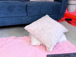 dina-ride webcam model