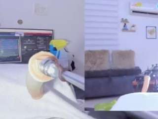 sorayadavis webcam