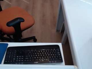 dutchpornking