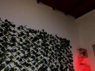 tammyandrade live webcam show