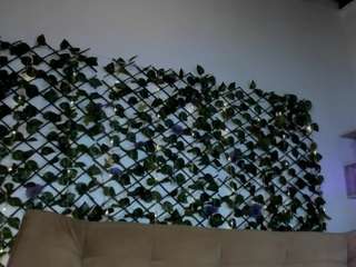 tammyandrade