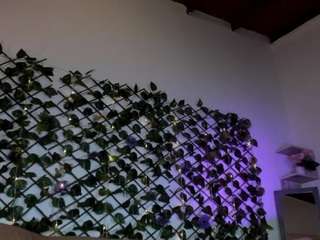 tammyandrade