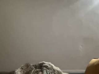 KingTGC