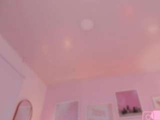 little-natt webcam