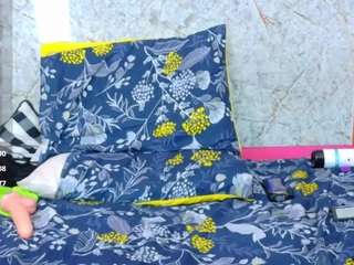 nia-evans live cam profile