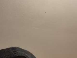 mikeysdossey