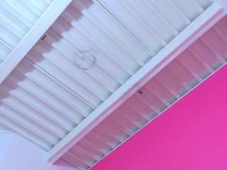 littlee-emily webcam