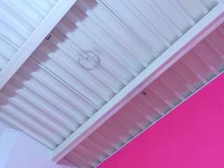 littlee-emily webcam