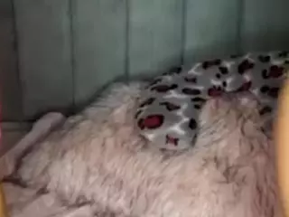Teffy-Moon's Live Sex Cam Show