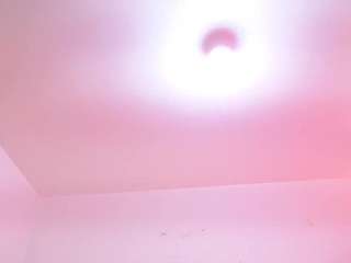 greatnipplesxxx Live Webcam on CamSoda