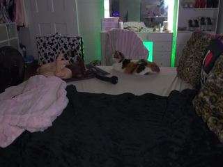 emmagray01's CamSoda show and profile