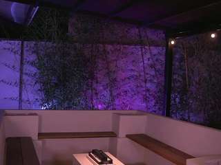 dakota-lee webcam model